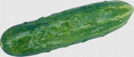 黄瓜