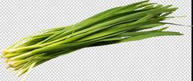 韭菜 透明底蔬菜