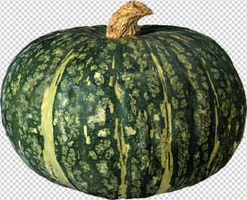 南瓜