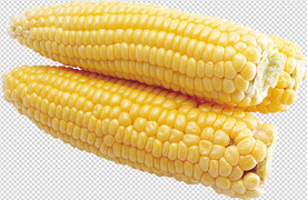 玉米