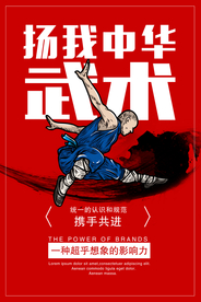 扬我中华武术宣传海报