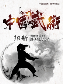 大气时尚武术培训海报