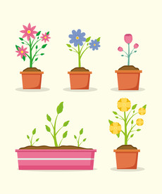 盆栽 植物 摆件