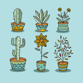 盆栽 植物 摆件