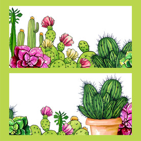 盆栽 植物 摆件