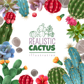 盆栽 植物 摆件