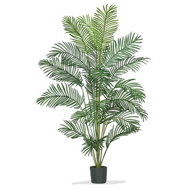 盆栽 植物 摆件