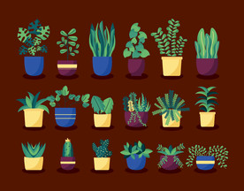 盆栽 植物 摆件