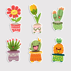 盆栽 植物 摆件