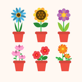 盆栽 植物 摆件