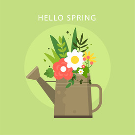 盆栽 植物 摆件