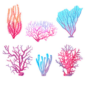 盆栽 植物 摆件