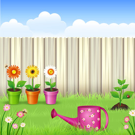 盆栽 植物 摆件