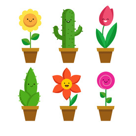 盆栽 植物 摆件