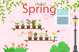 盆栽 植物 摆件