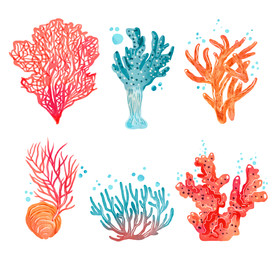 盆栽 植物 摆件