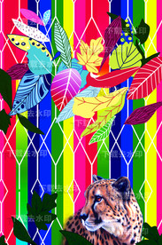 大牌男装 豹子 印花