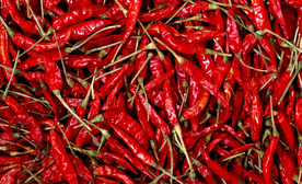 干辣椒