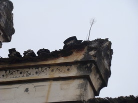 江西修水渣津查家老屋