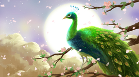 孔雀插画传统复古背景海报素材