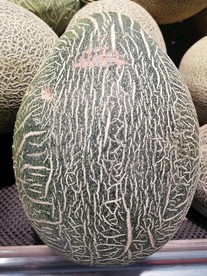 哈密瓜