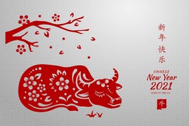 牛 新年展板背景