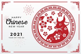 牛 新年展板背景