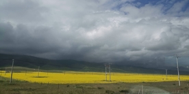 山脚下油菜花花海