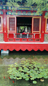 故宫 慈宁宫 后花园