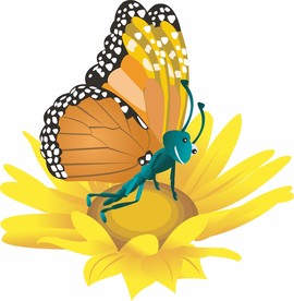 矢量蝴蝶