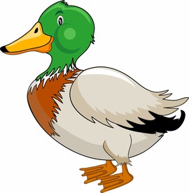 卡通鸭子