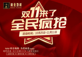 双11 双12购物节