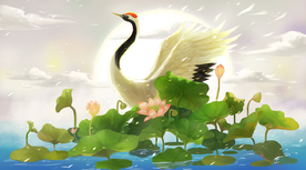 仙鹤荷花清新插画背景海报素材