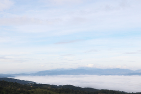 高山 茶山 云雾 自然 风光