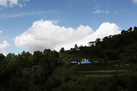 高山 茶山 云雾 自然 风光