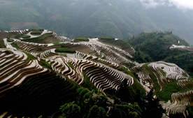 龙脊梯田
