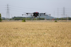 松江稻田洒农药用无人机