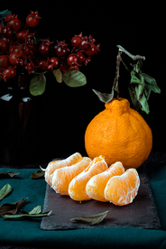 丑橘水果果实背景海报素材