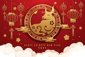 牛 新年展板背景