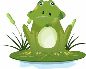 青蛙