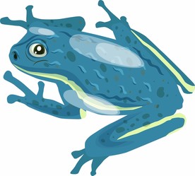 矢量青蛙