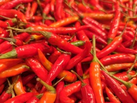 辣椒