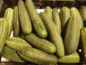 黄瓜