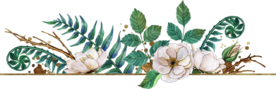手绘植物花卉边框设计