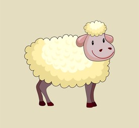 绵羊