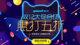 双11 双12购物节