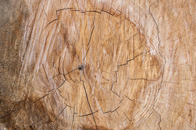 木纹