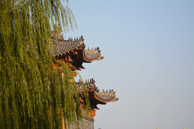 树林遮挡古建筑