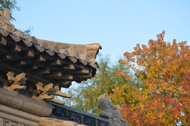 古建筑屋檐瓦砾一角