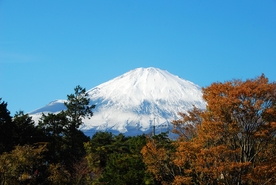 富士山